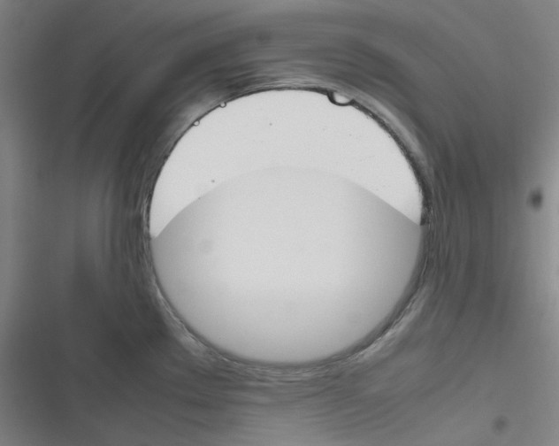 X0000116291289201001111049