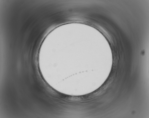 X0000116291291201001111049