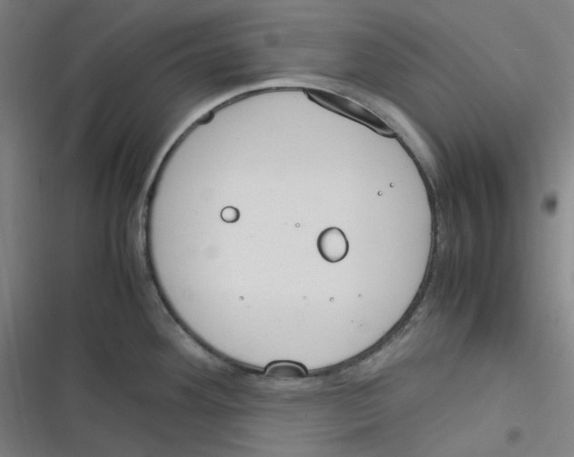 X0000116291292201001111049