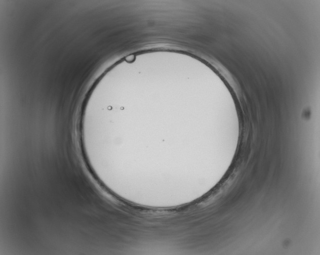 X0000116291293201001111049