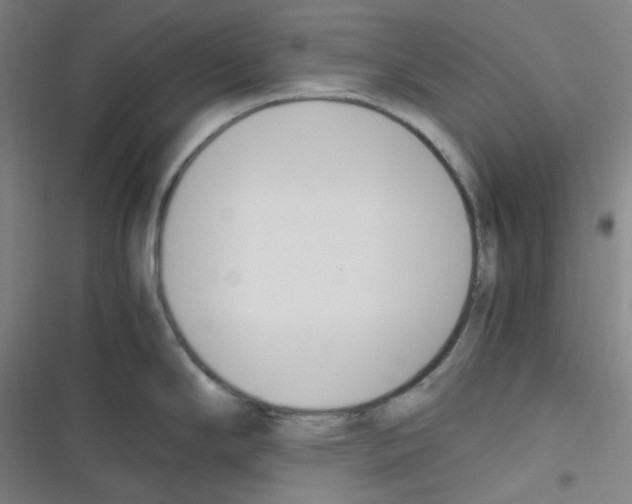 X0000116291294201001111049