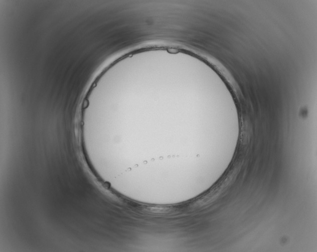 X0000116291295201001111049