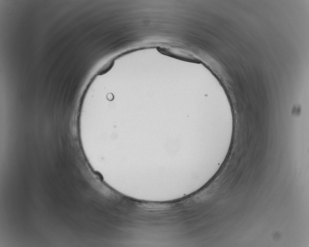 X0000116291296201001111048