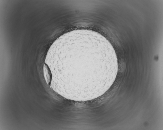 X0000116291297201001111048