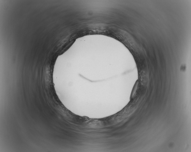 X0000116291298201001111048