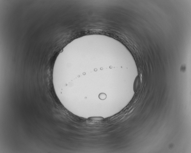 X0000116291299201001111048