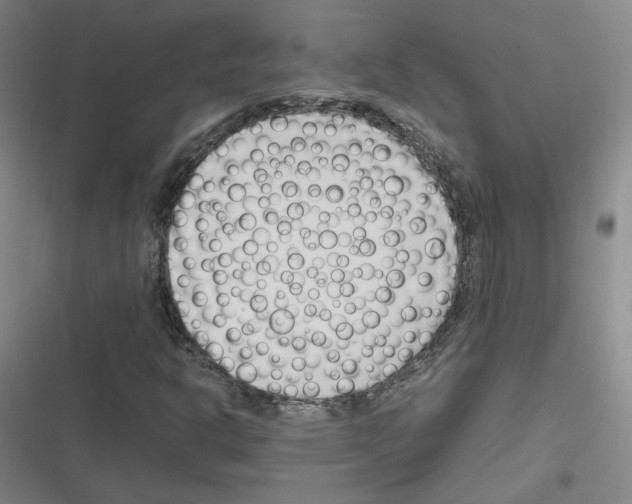 X0000116291302201001111048