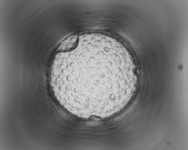 X0000116291305201001111048