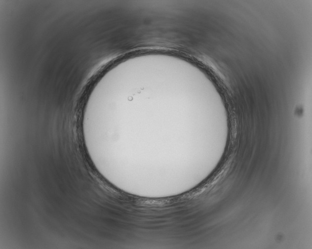 X0000116291307201001111048