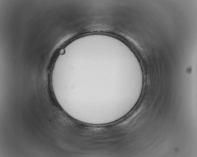 X0000116291309201001111048