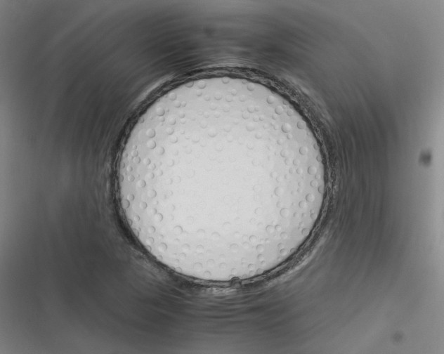 X0000116291313201001111048