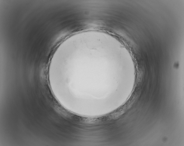 X0000116291314201001111048