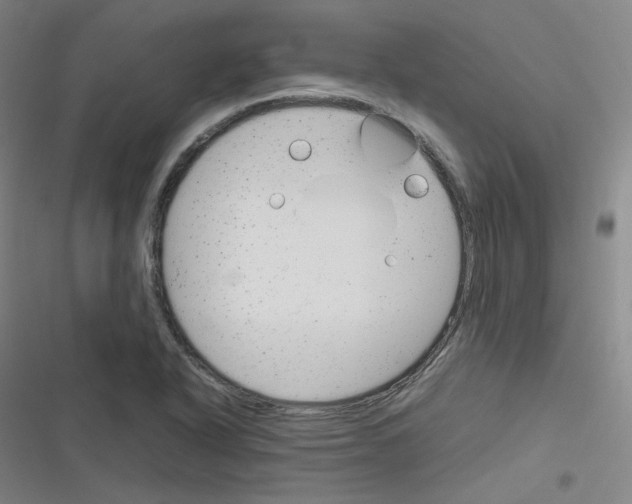 X0000116291318201001111048