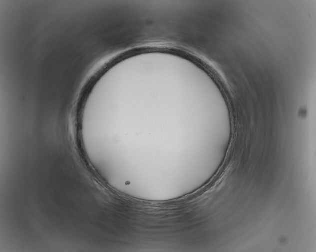 X0000116291319201001111048