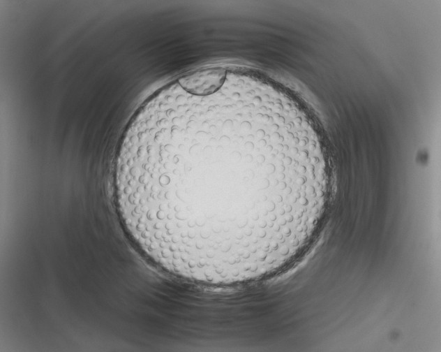 X0000116291321201001111048