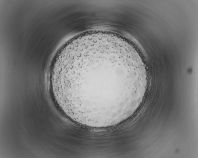 X0000116291323201001111048