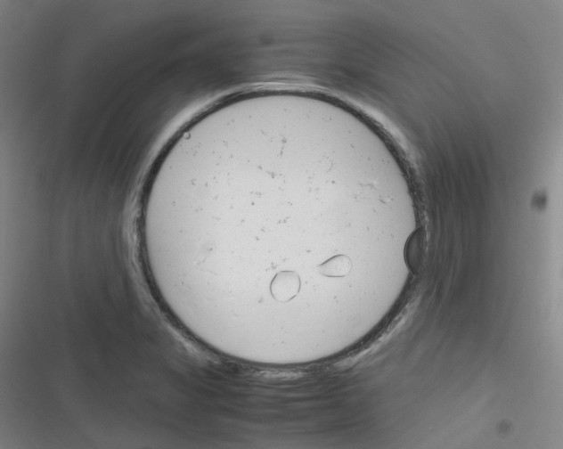 X0000116291325201001111048