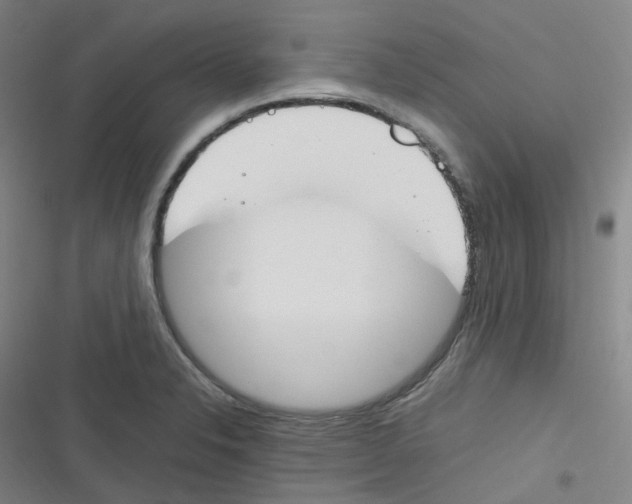 X0000116291326201001111048