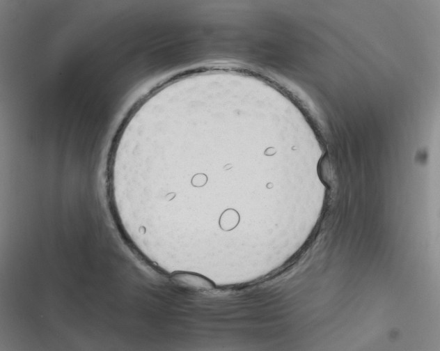 X0000116291327201001111048