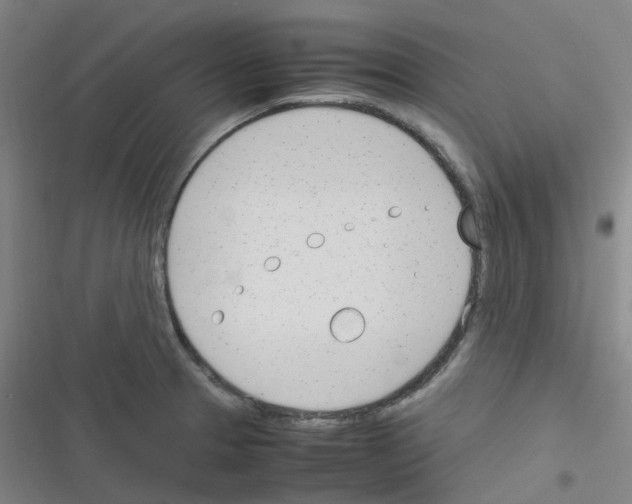 X0000116291329201001111048