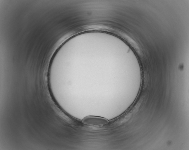 X0000116291330201001111048