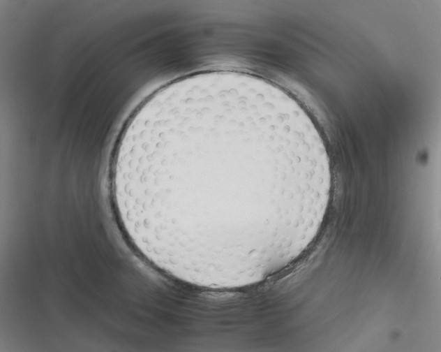 X0000116291331201001111048