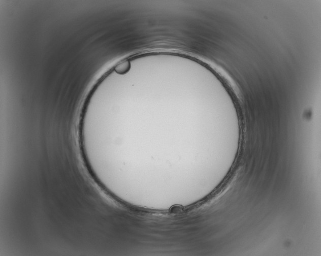 X0000116291333201001111048