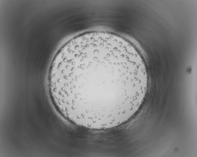 X0000116291335201001111048