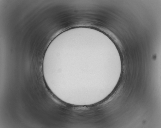 X0000116291337201001111048