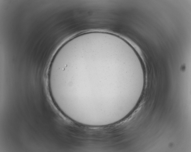 X0000116291341201001111048