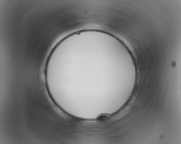 X0000116291342201001111048