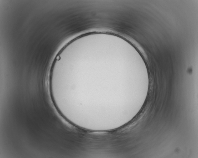 X0000116291343201001111048