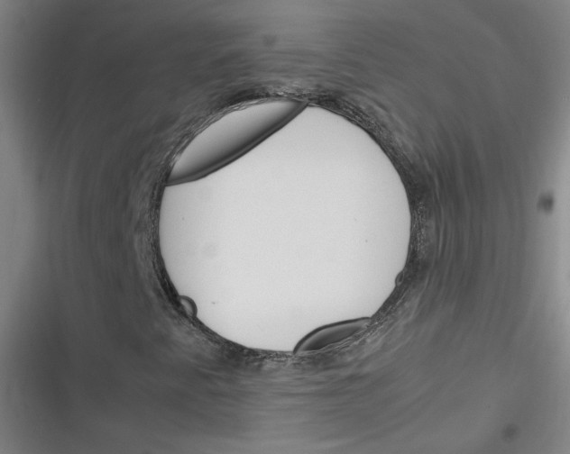 X0000116291345201001111048