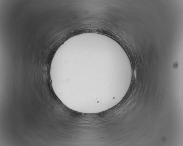 X0000116291347201001111048