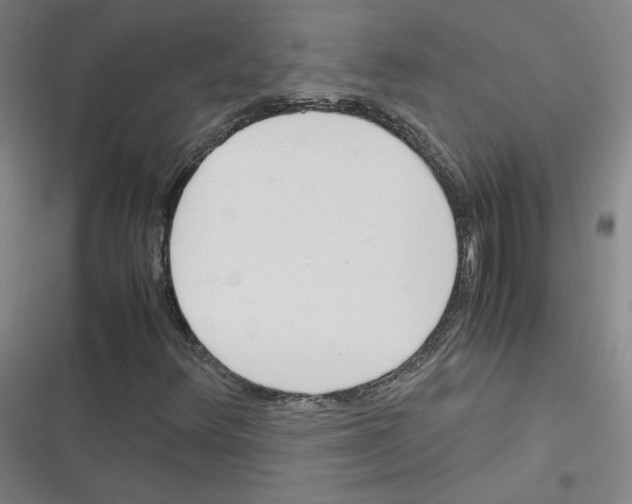 X0000116291348201001111048