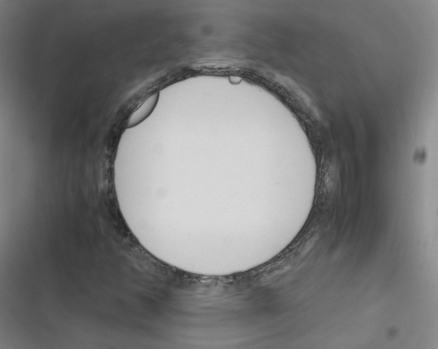 X0000116291350201001111048