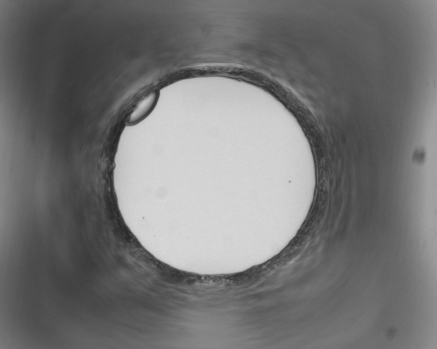 X0000116291351201001111048