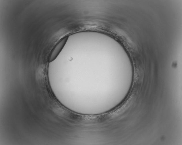 X0000116291353201001111048