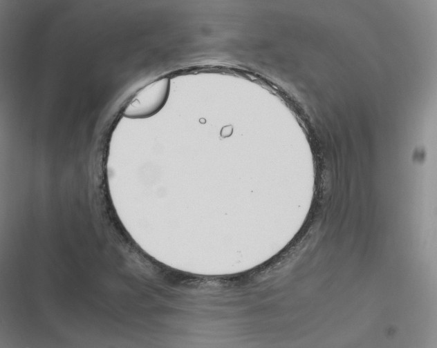 X0000116291359201001111048