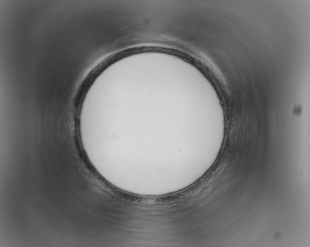 X0000116291360201001111048