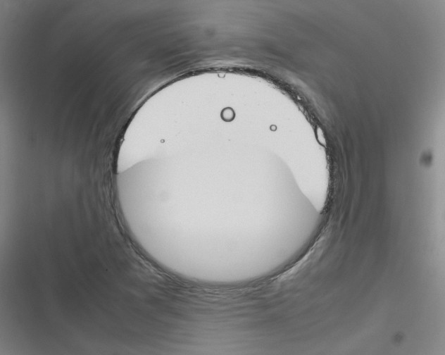 X0000116291361201001111048