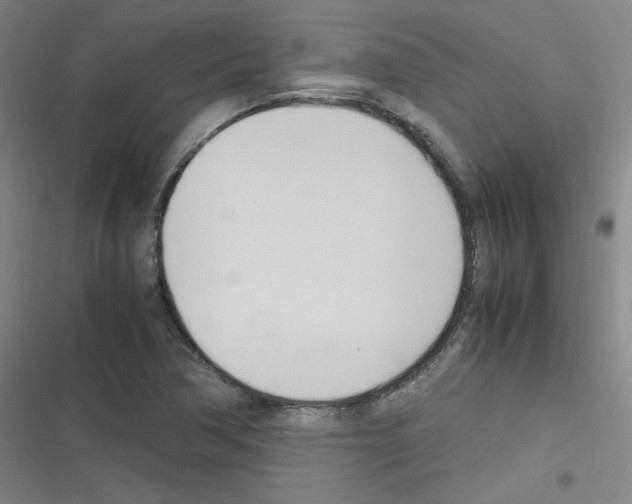 X0000116291362201001111048