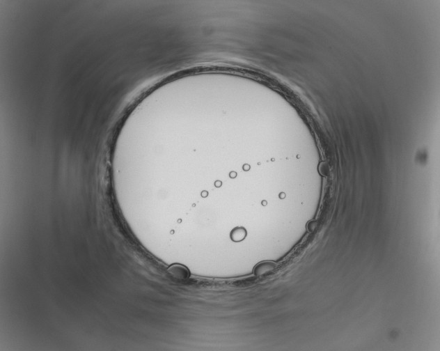 X0000116291363201001111048