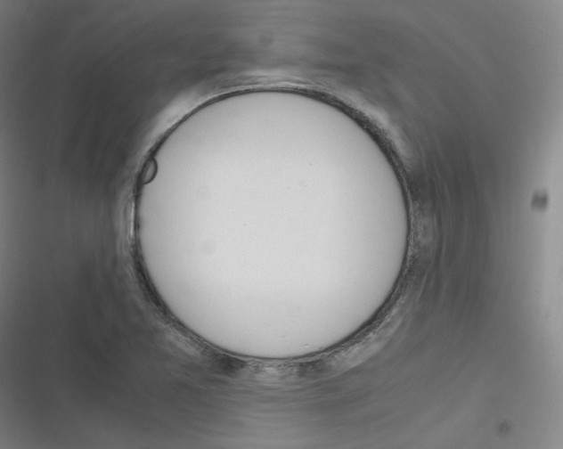 X0000116291365201001111048