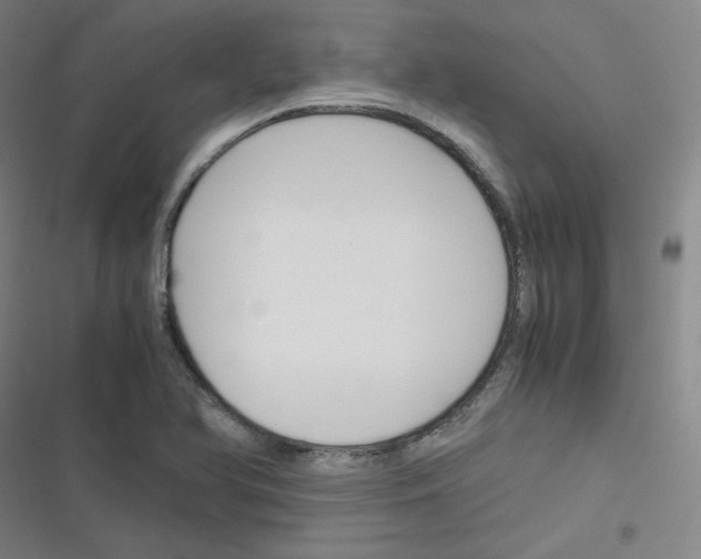 X0000116291366201001111048