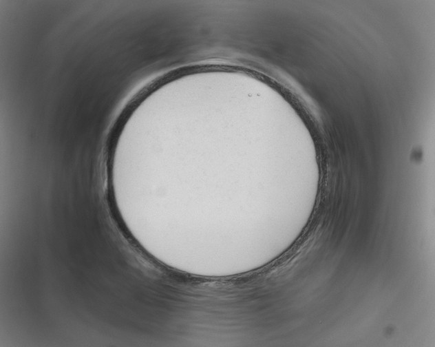 X0000116291368201001111048