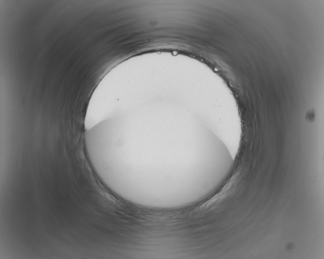 X0000116291369201001111047