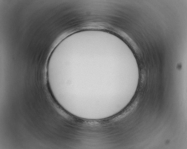 X0000116291370201001111047