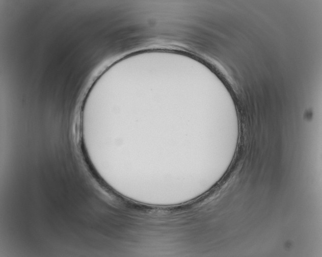 X0000116291371201001111047