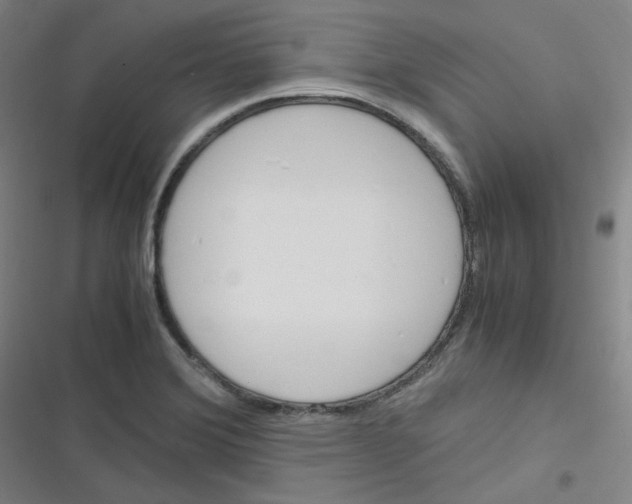 X0000116291372201001111047